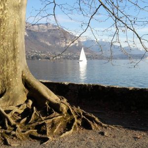 manence-annecy-sophrologie-coaching-relaxation-sante-carre